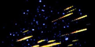Report: Exceptional meteor shower November 21-22 Report: Exceptional meteor shower November 21-22