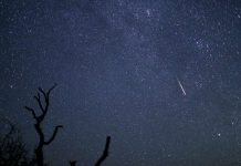 Report: Possible meteor outburst this week worth a look up Report: Possible meteor outburst this week worth a look up