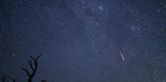 Report: Possible meteor outburst this week worth a look up Report: Possible meteor outburst this week worth a look up