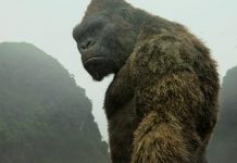 Research: Ancient King Kong-like ape likely stood 10 feet tall Research: Ancient King Kong-like ape likely stood 10 feet tall