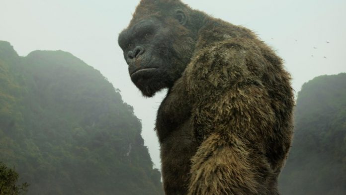 Research: Ancient King Kong-like ape likely stood 10 feet tall