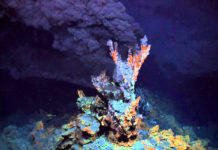 Study: Deep sea vents had ideal conditions for origin of life Research: Darwin may have gotten the origin of life wrong