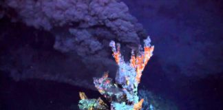Study: Deep sea vents had ideal conditions for origin of life Research: Darwin may have gotten the origin of life wrong