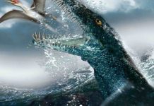 Research: Remains of ancient 30-foot ‘sea monster’ Found in a Polish Research: Remains of ancient 30-foot ‘sea monster’ Found in a Polish