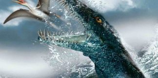 Research: Remains of ancient 30-foot ‘sea monster’ Found in a Polish Research: Remains of ancient 30-foot ‘sea monster’ Found in a Polish