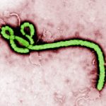 Research Says Conflicts In The Congo Affecting Ebola Outbreaks Research Says Conflicts In The Congo Affecting Ebola Outbreaks