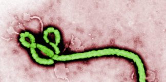 Research Says Conflicts In The Congo Affecting Ebola Outbreaks Research Says Conflicts In The Congo Affecting Ebola Outbreaks