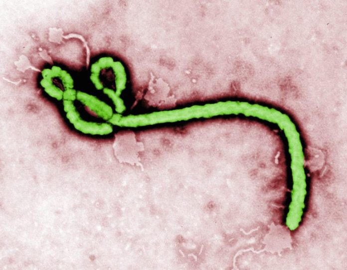 Research Says Conflicts In The Congo Affecting Ebola Outbreaks