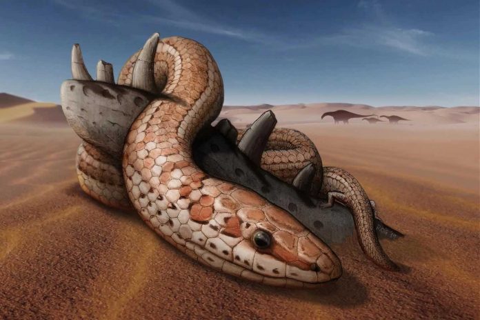 Research: Snake ancestors had legs, cheekbones 100 million years ago
