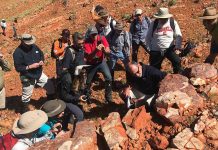 Researchers Investigate Ancient Life in Australia Researchers Investigate Ancient Life in Australia