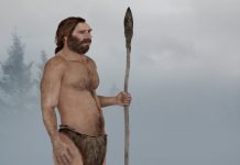 Researchers link Neanderthal extinction to human diseases Researchers link Neanderthal extinction to human diseases
