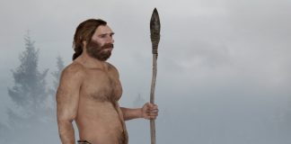 Researchers link Neanderthal extinction to human diseases Researchers link Neanderthal extinction to human diseases