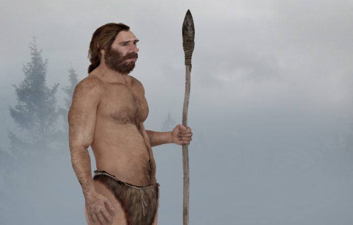 Researchers link Neanderthal extinction to human diseases