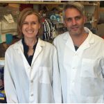 Scientists identify protein that governs human blood stem cell self-renewal Scientists identify protein that governs human blood stem cell self-renewal