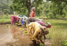 Study: Environmental stress negatively impacts women in climate hotspots Study: Environmental stress negatively impacts women in climate hotspots
