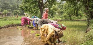 Study: Environmental stress negatively impacts women in climate hotspots Study: Environmental stress negatively impacts women in climate hotspots