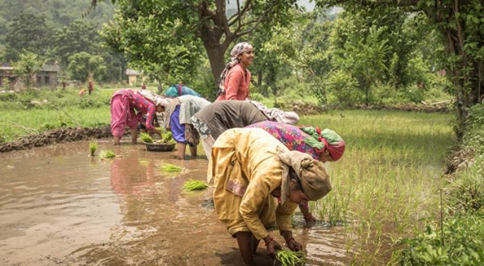 Study: Environmental stress negatively impacts women in climate hotspots