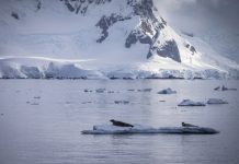 Study: Increased Antarctic Sea Ice Could Trigger an Ice Age Study: Increased Antarctic Sea Ice Could Trigger an Ice Age