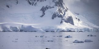 Study: Increased Antarctic Sea Ice Could Trigger an Ice Age Study: Increased Antarctic Sea Ice Could Trigger an Ice Age