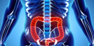 Study: New light shed on gut function Study: New light shed on gut function