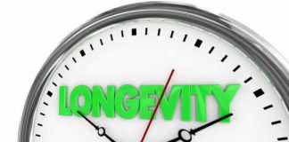 Research: The secret to a long life? For worms, a cellular recycling protein is key —