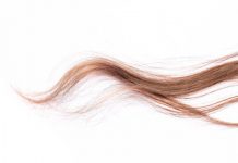 Research: Study of elephant, capybara, human hair finds that thicker hair isn’t always stronger —