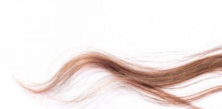 Research: Study of elephant, capybara, human hair finds that thicker hair isn’t always stronger —