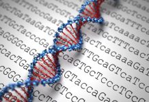 Research: Teams of microbes are at work in our bodies. Here’s how to figure out what they’re doing —