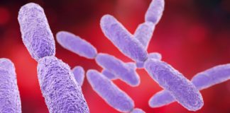 Research: Deadly ‘superbugs’ destroyed by molecular drills —