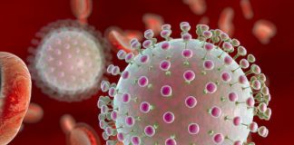 Research: Breakthrough in Zika virus vaccine —