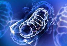 Research: How some cancers resist chemotherapy —