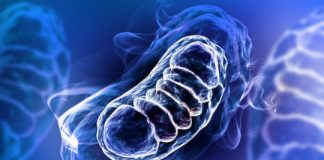 Research: How some cancers resist chemotherapy —