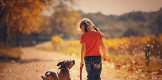 Research: Findings do not link similar contact with cats to either schizophrenia or bipolar disorder —