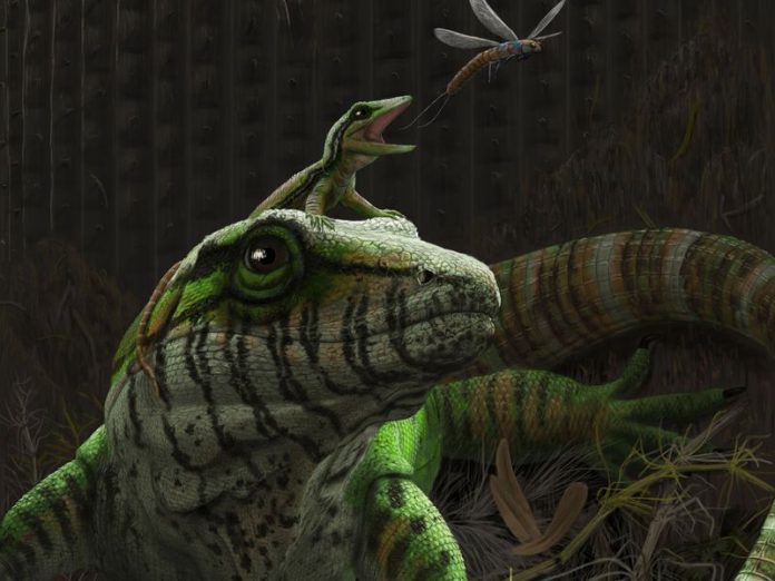 Research: Ancient lizard dad bones reveal earliest example of good parenting