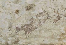 Researchers Reveal What They Found in The World’s Oldest Cave Art Researchers Reveal What They Found in The World's Oldest Cave Art
