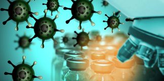 Researchers create ‘self-cleaning surface that repels superbugs’ Researchers create ‘self-cleaning surface that repels superbugs’