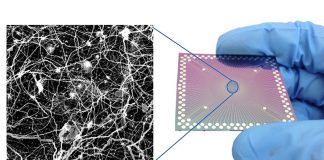Scientists observe brain-like behavior in nanoscale device Scientists observe brain-like behavior in nanoscale device