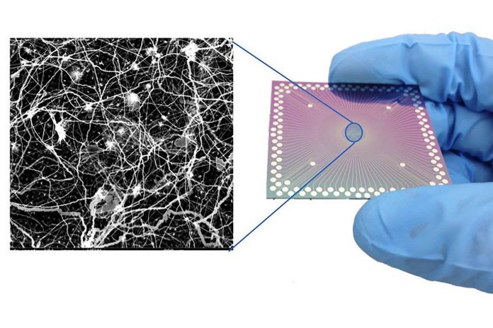 Scientists observe brain-like behavior in nanoscale device