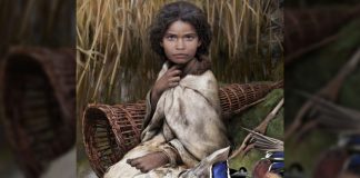 Study: Human Genome Recovered From 5,700-Year-Old Chewing Gum Study: Human Genome Recovered From 5,700-Year-Old Chewing Gum