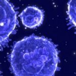 Cancer killing cell: Scientists find unexpected anti-cancer activity Cancer killing cell: Scientists find unexpected anti-cancer activity