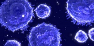 Cancer killing cell: Scientists find unexpected anti-cancer activity Cancer killing cell: Scientists find unexpected anti-cancer activity