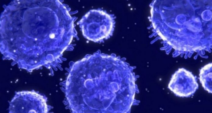 Cancer killing cell: Scientists find unexpected anti-cancer activity