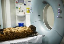 Egyptian mummy voice reproduced by 3-D printing a vocal tract Egyptian mummy voice reproduced by 3-D printing a vocal tract