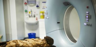 Egyptian mummy voice reproduced by 3-D printing a vocal tract Egyptian mummy voice reproduced by 3-D printing a vocal tract