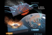 It was microbial mayhem in the Chicxulub crater, finds new research It was microbial mayhem in the Chicxulub crater, finds new research
