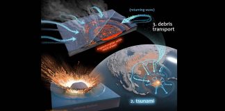 It was microbial mayhem in the Chicxulub crater, finds new research It was microbial mayhem in the Chicxulub crater, finds new research