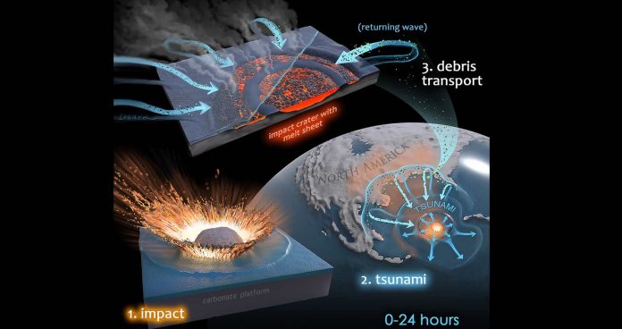 It was microbial mayhem in the Chicxulub crater, finds new research