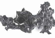 Mount Vesuvius eruption ‘turned victim’s brain to glass’ (Study) Mount Vesuvius eruption 'turned victim's brain to glass' (Study)