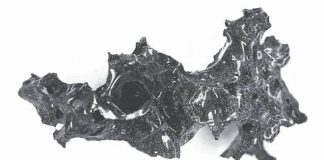 Mount Vesuvius eruption ‘turned victim’s brain to glass’ (Study) Mount Vesuvius eruption 'turned victim's brain to glass' (Study)