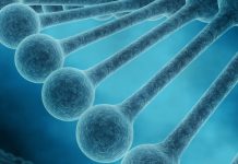 Natural selection’s reach extends beyond genome into epigenome, research Natural selection's reach extends beyond genome into epigenome, research